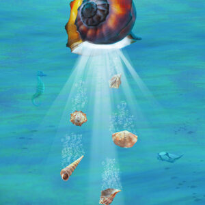 Birth of Sea Shells
