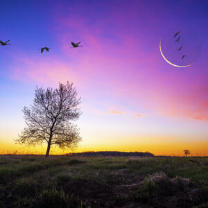 Sunrise Flight